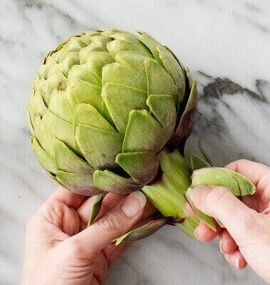 Fresh Artichokes (2pc/bag) 新鮮朝鮮薊